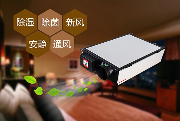 為什么冷庫除濕機會出現結霜的情況？