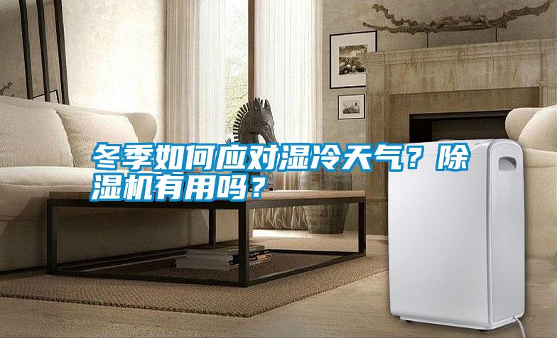 冬季如何應對濕冷天氣?除濕機有用嗎?