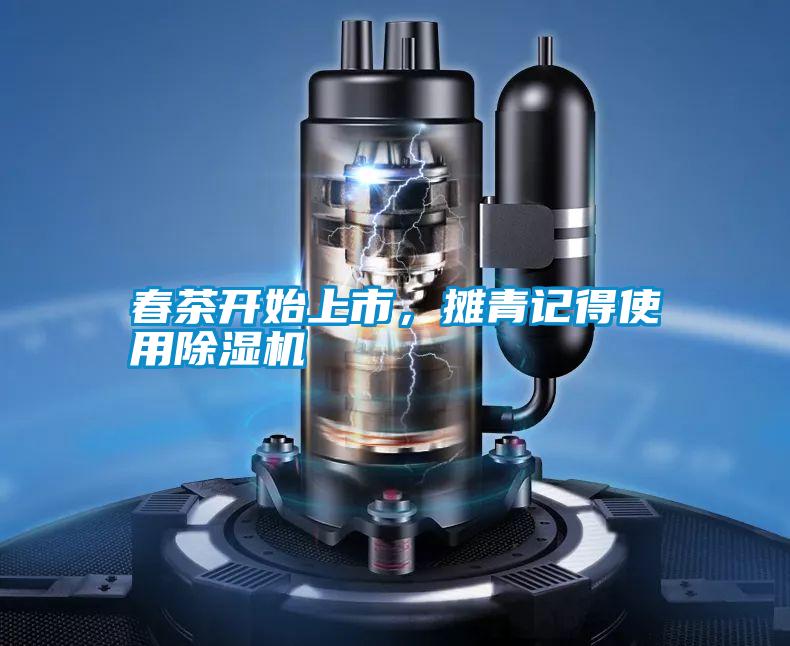 春茶開始上市，攤青記得使用除濕機