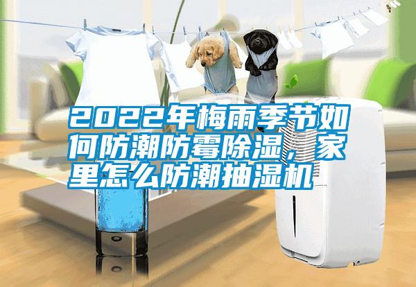 2022年梅雨季節如何防潮防霉除濕，家里怎么防潮抽濕機