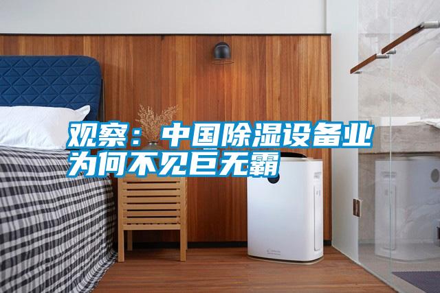 觀察:中國除濕設備業為何不見巨無霸