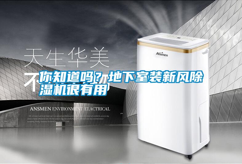 你知道嗎?地下室裝新風除濕機很有用