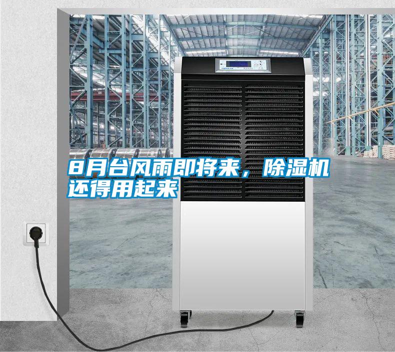 8月臺風雨即將來，除濕機還得用起來