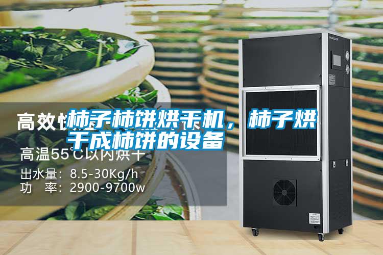 柿子柿餅烘干機,柿子烘干成柿餅的設備