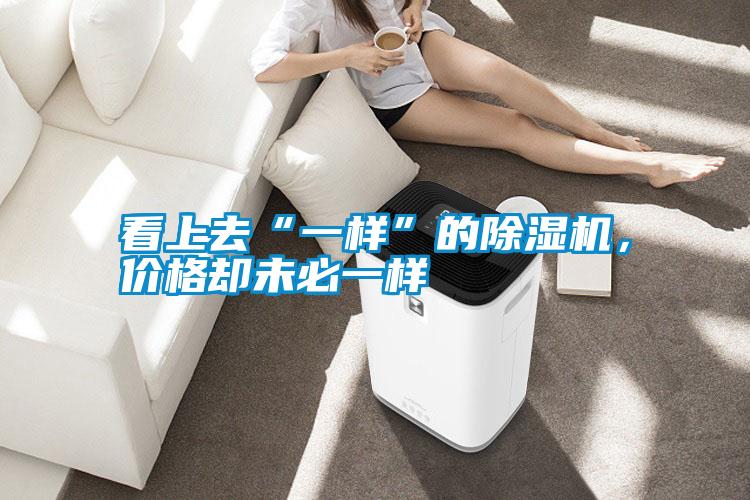 看上去“一樣”的除濕機，價格卻未必一樣
