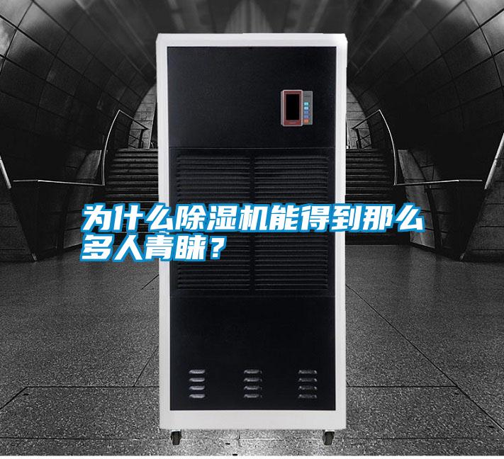 為什么除濕機(jī)能得到那么多人青睞?