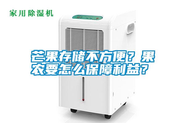 芒果存儲不方便？果農要怎么保障利益？