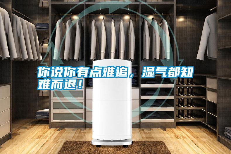 你說你有點難追，濕氣都知難而退！