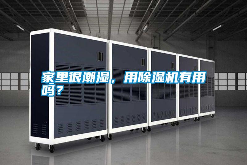 家里很潮濕，用除濕機(jī)有用嗎？