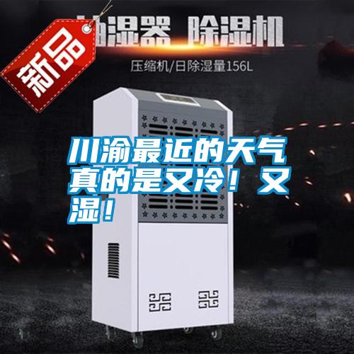 川渝最近的天氣真的是又冷！又濕！