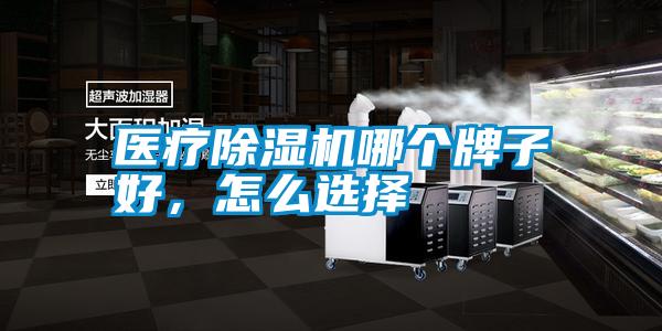 醫療除濕機哪個牌子好，怎么選擇