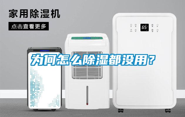 為何怎么除濕都沒用？