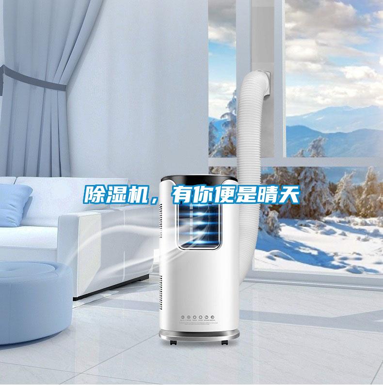 除濕機,有你便是晴天