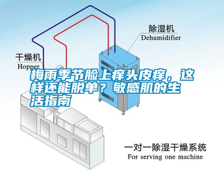 梅雨季節臉上癢頭皮癢,這樣還能脫單?敏感肌的生活指南