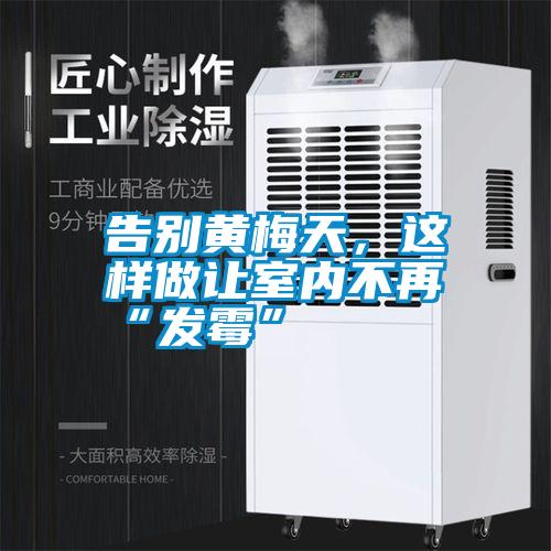 告別黃梅天,這樣做讓室內不再“發(fā)霉”