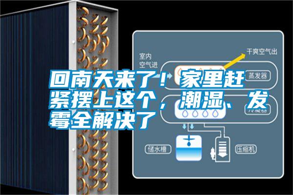回南天來了!家里趕緊擺上這個,潮濕、發(fā)霉全解決了
