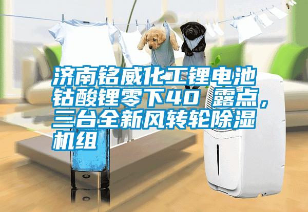 濟(jì)南銘威化工鋰電池鈷酸鋰零下40℃露點(diǎn)，三臺全新風(fēng)轉(zhuǎn)輪除濕機(jī)組