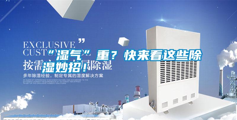 “濕氣”重？快來看這些除濕妙招！