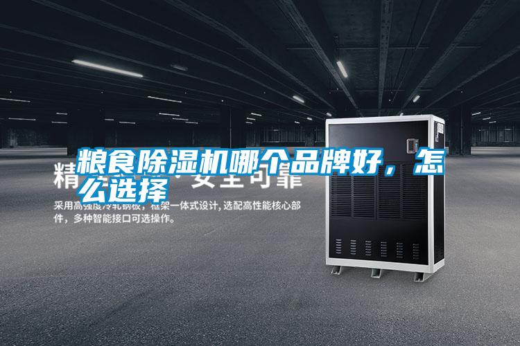 糧食除濕機(jī)哪個(gè)品牌好,怎么選擇