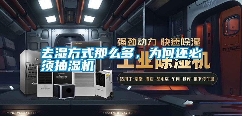 去濕方式那么多，為何還必須抽濕機(jī)