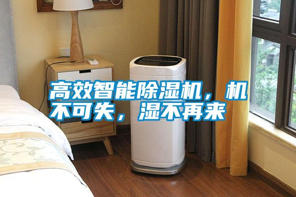高效智能除濕機，機不可失，濕不再來