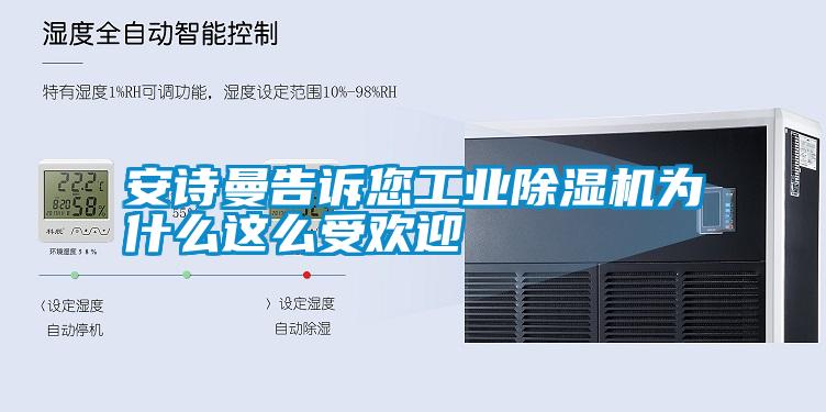 安詩曼告訴您工業除濕機為什么這么受歡迎