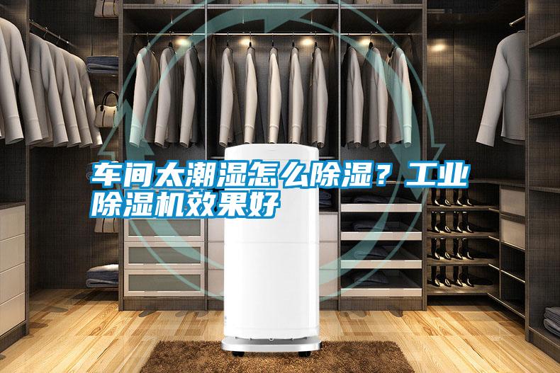 車間太潮濕怎么除濕？工業除濕機效果好