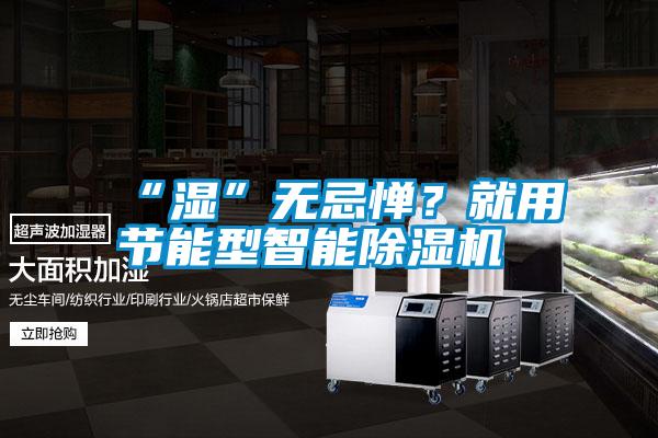 “濕”無忌憚？就用節(jié)能型智能除濕機(jī)