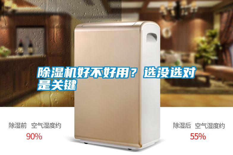 除濕機好不好用?選沒選對是關鍵