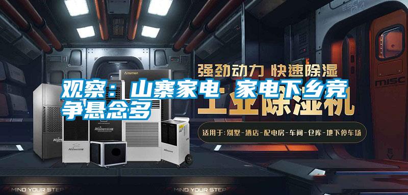 觀察:山寨家電 家電下鄉(xiāng)競爭懸念多