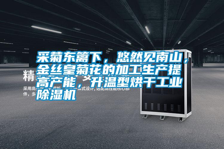 采菊東籬下，悠然見南山，金絲皇菊花的加工生產提高產能，升溫型烘干工業除濕機