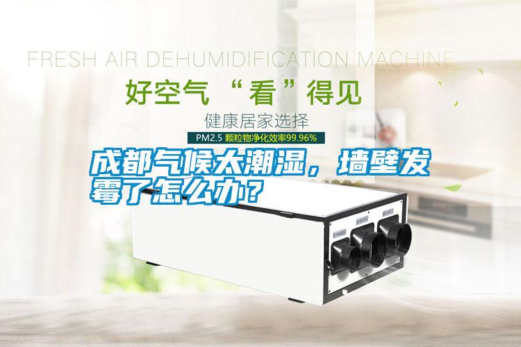 成都氣候太潮濕,墻壁發霉了怎么辦?