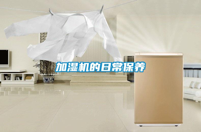 加濕機的日常保養