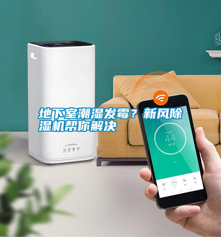 地下室潮濕發(fā)霉?新風除濕機幫你解決