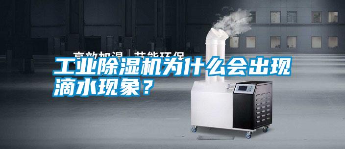 工業(yè)除濕機為什么會出現(xiàn)滴水現(xiàn)象？
