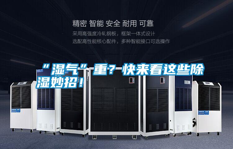 “濕氣”重？快來看這些除濕妙招！