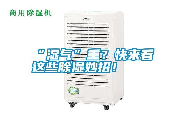 “濕氣”重？快來看這些除濕妙招！