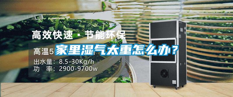 家里濕氣太重怎么辦？