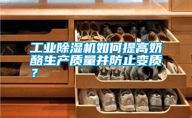 工業除濕機如何提高奶酪生產質量并防止變質?