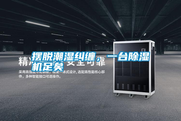 擺脫潮濕糾纏,一臺除濕機足矣