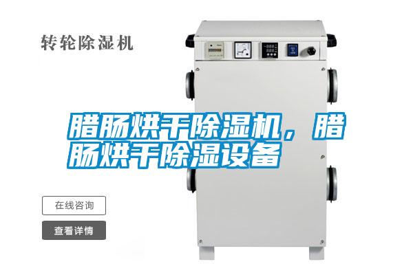 臘腸烘干除濕機,臘腸烘干除濕設備