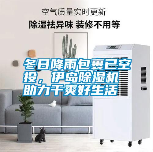 冬日降雨包裹已空投,伊島除濕機助力干爽好生活