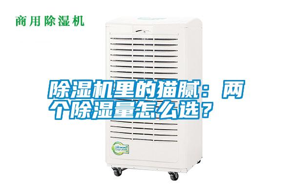 除濕機里的貓膩:兩個除濕量怎么選?