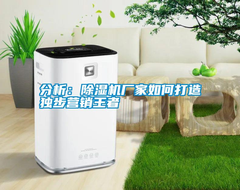 分析:除濕機廠家如何打造獨步營銷王者