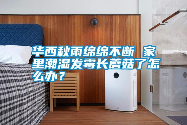 華西秋雨綿綿不斷 家里潮濕發霉長蘑菇了怎么辦？