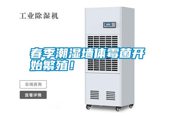 春季潮濕墻體霉菌開始繁殖！