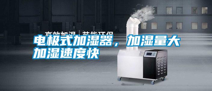 電極式加濕器,加濕量大加濕速度快