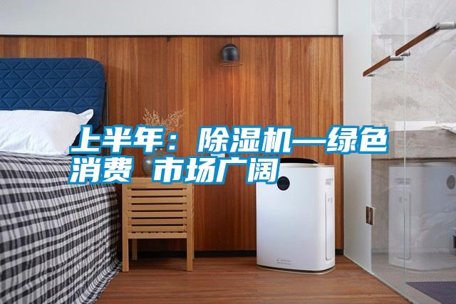 上半年:除濕機(jī)—綠色消費(fèi) 市場(chǎng)廣闊
