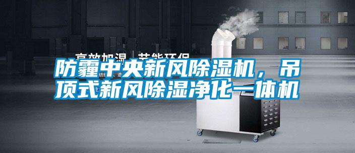 防霾中央新風除濕機，吊頂式新風除濕凈化一體機