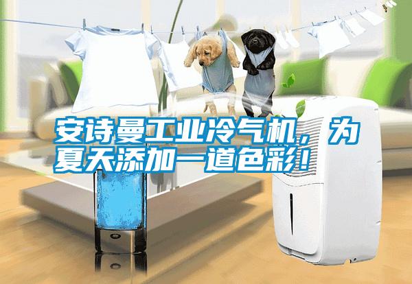 安詩曼工業冷氣機，為夏天添加一道色彩！